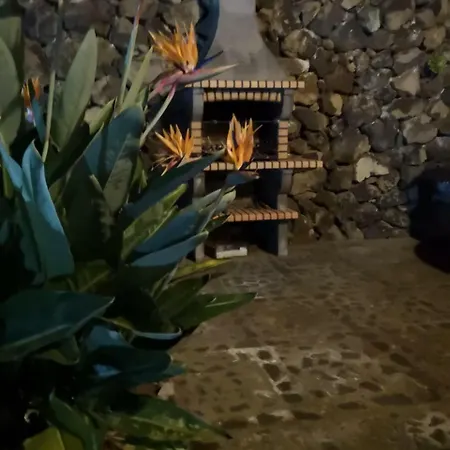 Casa Carmen Finca La Sorriba Icod De Los Vinos
